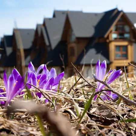 Polana Szymoszkowa - Chamerion Apartament *