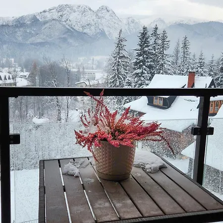 Polana Szymoszkowa - Chamerion Apartament Zakopane